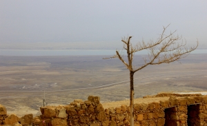 A View of the Dead Sea from Masada