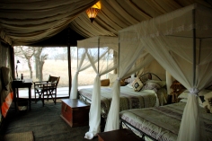 We heard lions and hyenas outside our tent every night!